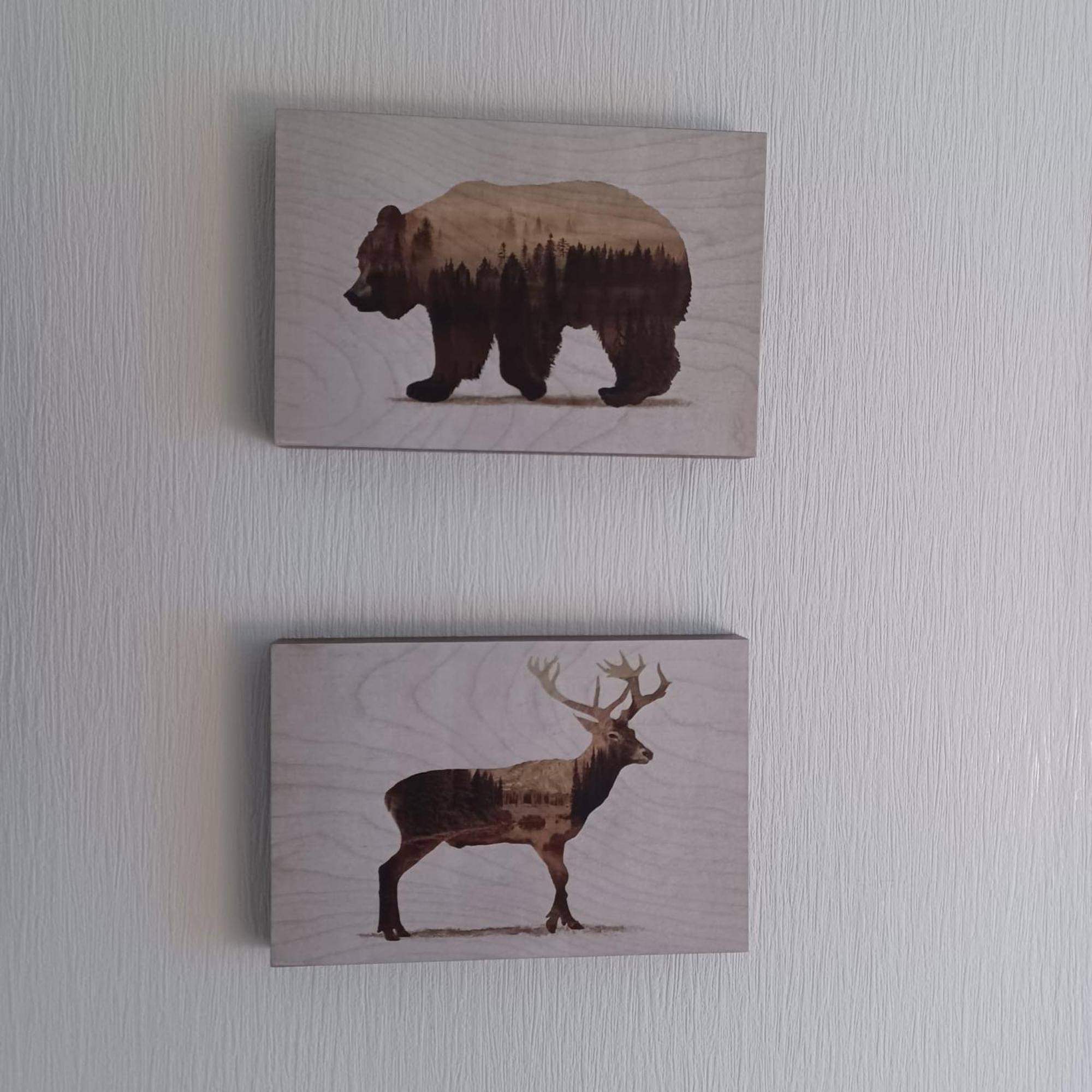 Wandertraum Apartman Braunlage Kültér fotó